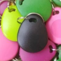 ราคา 29 third New RFID big key tag 125KHz rewritable RFID card (19487430209)