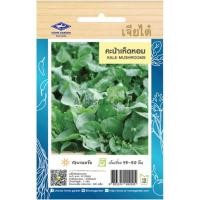 ราคา เมล็ดพันธุ์ คะน้าเห็ดหอม เจียไต๋ (20670215135)