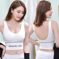 ราคา SPA สปอร์ตบราเว้ารูปตัว U แฟชั่น ไร้ขอบแบบสวม เสริมฟองน้ำ พร้อมส่งจากไทย (20448172681)