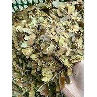 ราคา ใบก้ามปูล้วน เหมาะสำหรับผสมดินเพื่อใช้เป็นปุ่ยดินในการเพาะปลูก กิโลกรัมละ29บาท (18247451554)