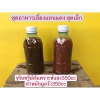 ราคา แหนแดง ชุดอาหารเลี้ยงแหนแดง (16475344835)