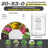 ราคา แม่ปุ๋ย 20 53 0 ไดแอมโมเนียมฟอสเฟต DAP ปุ๋ยเกล็ด กระตุ้นการออกดอก บำรุงราก ชนิดแบ่งขาย ขนาด 1 kg เร่งดอก (18715507033)