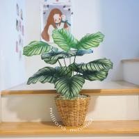 ราคา ต้นไม้ปลอม ต้นไทรใบสัก พร้อมตะกร้าหวาย แถมฟรีหินโรยจ้าา (19725222673)