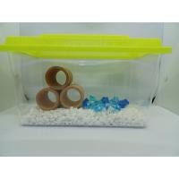 ราคา ตู้ปลา กล่องใส่เต่า กล่องใส่ปลา ขนาดใหญ่ กล่องใส่หนูแฮมเตอร์ ถูกมาก ตู้ปลากัด (12140044460)