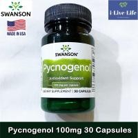 ราคา เปลือกสนฝรั่งเศสสกัด Pycnogenol 100 mg 30 Capsules Swanson สารสกัดเปลือกสนมาริไทม์ จากประเทศฝรั่งเศส (5398378149)