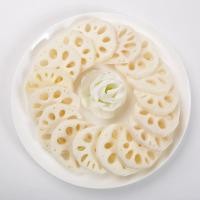 ราคา รากบัวสด รากบัวสดฝาน รากบัวจีน รากบัวสดบรรจุถุง 500gรากบัวสดบรรจุถุง พร้อมสำหรับการนำไปประกอบอาหารได้หลากหลายเมนู 新鲜莲藕 (19796770576)