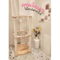 ราคา คอนโดแมว ไม้ยางพาราแท้ สไตร์มินิมอลๆ ที่นอนแมว ที่ฝนเล็บแมว A57 (20888782774)