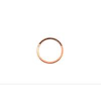 ราคา แหวนรองวาล์วปั๊มลม PUMA ร่น PP1 PP2 1 4 1 2 แรงม้า อะไหล่ปั๊มลม (20868455876)