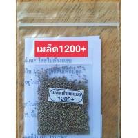 ราคา ตำแยแมว กัญชาแมว สมุนไพรแมว เมล็ดตำแยแมว ยาแมว ต้นไม้แมว ปลอดสารพิษ (17208167603)