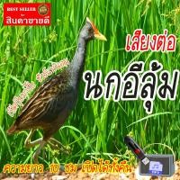 ราคา Mini Shop เสียงต่อนกอีลุ้ม แฟลชไดร์ฟ USB เสียงนกอีลุ้ม เสียงดังฟังชัด เสียงนกแท้ เสียงดังฟังชัด100 เข้าง่ายติดง่าย (20613612127)