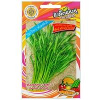 ราคา เมล็ดพันธุ์ ผักบุ้งจีน พันธุ์ผักบุ้งใบไผ่ ตราสี่ทิศ (20710747842)