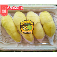 ราคา ส่งฟรี ทุเรียนหมอนทอง เกรดA 4 6พลูใหญ่ 1กิโลกรัม (19856964182)