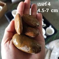 ราคา หินกรวดขาว หินจัดสวน หินตกแต่งตู้ปลา 6 5 7 กิโลกรัม (14236443269)