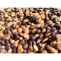 ราคา เมล็ดพันธุ์ Garden Seeds 50 เมล็ด มะค่าแต้ แต้ มะค่าหยุม มะค่าแต้ หรือมะค่าหนาม ไม้ป่าเศรษฐกิจ เนื้อไม้สวย เริ่มจะหายาก (8683781010)