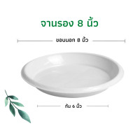 ราคา จานรองกระถาง ถาดรองกระถาง จานรองกระถางต้นไม้ ถาดรองกระถางต้นไม้ จานรองพลาสติก จานรองกระถางพลาสติก 6นิ้ว 8นิ้ว 10นิ้ว 12นิ้ว 15นิ้ว 17นิ้ว (13962526652)