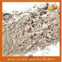 ราคา ผงสามเกลอ ผงหมักเนื้อสัตว์ ผงหมัก ขนาด 100 กรัม (20532402760)