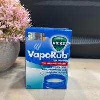 ราคา vicks vaporup 10g25gm50gm vick inhalor ย าดม0 5ml vicks babybalsum (16319548340)