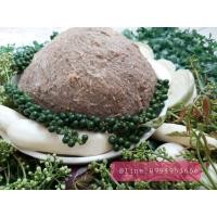 ราคา พร้อมส่ง เนื้อปลาร้ากระดี่บด ปลาร้าสับ 1 kg เนื้อปลาร้าสับ ปลาร้าบด ปลาร้ากระดี่ ปลาร้าแจ่วบอง แซ่บ นัวร์ ไม่เหม็นคาว สด สะอาด (2526538951)