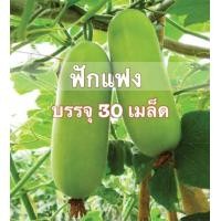 ราคา เมล็ดพันธุ์ แฟง ฟักเขียว Fang ฟักแฟง 30 เมล็ด (12530648087)