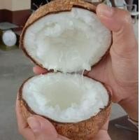 ราคา มะพร้าวกะทิพร้อมทาน มะพร้าวกะทิน้ำข้น มะพร้าวกะทิน้ำใส มะพร้าวกะทิ ไซส์ตามภาพ (21253086179)