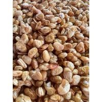 ราคา ถั่วแปหล่อ ตราฅนไต ขนาด 1 กก (19540468844)