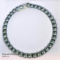 ราคา Jaisiam Jewelry สร้อยคอไข่มุกเซ้าท์ซีแท้ ตัวล็อคทองคำขาวแท้ 14k ยาว 16 นิ้ว รุ่น SSPN 01 (458266254)