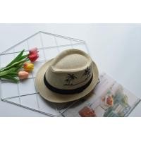 ราคา หมวกสานชาย ทรงไมเคิ้ลคาดดำแต่งลาย ต้นมะพร้าวคู่ B033 (17771565317)