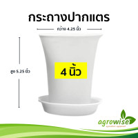ราคา กระถางต้นไม้พลาสติก กระถางพลาสติก กะถางต้นไม้ 4 5 นิ้ว สีขาว ปากแตร สีขาว ถาด กระถางปากแตร 4 นิ้ว (16191572726)