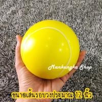 ราคา ขนาดเส้นรอบวง 12 นิ้ว ลูกบอล ลูกบอลบีบ ลูกบอลของเล่นเด็ก ลูกบอลของเล่นสัตว์ ลูกบอลแบบนุ่ม ลูกบอลบริหารมือ (16064722273)