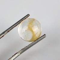 ราคา แก้วโป่งข่าม ธรรมชาติ 100 แก้วเลือกนาย โป่งข่าม เขี้ยวหนุมาน แก้วขนเหล็ก แก้วปวก แก้วกาบ (14205151017)