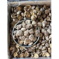 ราคา เห็ดหอม BB4 1 กิโลกรัม เนื้อบาง ไซส์กลาง (19864576439)