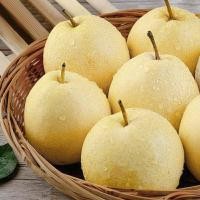 ราคา สาลี่น้ำผึ้ง Sweet Pear CHN นำเข้า หอม หวาน อร่อย (20864532413)