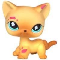 ราคา LPS CAT Rare Littlest pet shop Toys Mini Stands Short Hair Kitten Old Figures Collection Original Bobble head toys (20562455622)