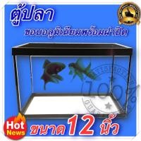 ราคา ตู้ปลา ตู้กระดิ่งเงิน กระดิ่งทอง ตู้โชว์ ตู้กระจก ขอบอลูมิเนียม พร้อมฝาปิด ขนาด 12 นิ้ว (636394225)