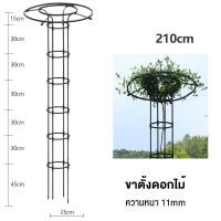 ราคา PG ท่อเหล็กเคลือบ PE กันสนิม โครงเหล็กดัดซุ้มกุหลาบเลื้อย ซุ้มกุหลาบ ซุ้มไม้เลื้อย เหล็กแข็งแรง โครงกุหลาบเลื้อย (20522850341)