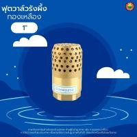 ราคา ฟุตวาล์ว ทองเหลือง รังผึ้ง หัวกะโหลก 3 4นิ้ว 1นิ้ว 1 5นิ้ว 2นิ้ว BRASS FOOT VALVE สปริง ดูดน้ำ ปั๊มน้ำ กันรั่ว กรองสิ่งสกปรก งานประปา มิตสห Mitsaha (8941341114)
