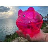 ราคา กระปุกออมสิน ออมสินสีใส กระปุกออมสินหมู ออมสินหมี (21185614286)