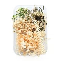 ราคา ดอกไม้แห้งตามธรรมชาติแบบทำมือแหวนจี้เรซิ่นอีพ็อกซี่พืชแห้งเครื่องประดับเคสโทรศัพท์มือถือเทียนทำอุปกรณ์เสริม (17379230385)