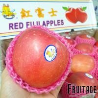 ราคา แอปเปิ้ลฟูจิ 1ลูก APPLE FUJI CHN ลดพิเศษ ผลไม้สดๆ ผลไม้สด อาหารคลีน อาหารคีโต เจ ผลไม้สดนำเข้า ผลไม้นอก Keto Fruit แอปเปิ้ลสด แอปเปิ้ลฟูจิจีน (21202248983)