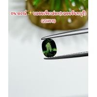 ราคา ธนาภรณ์ พลอยเขียวส่อง จันทบุรี พลอยแท้100 GSH819 (17231327437)