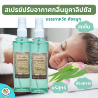 ราคา ส่งฟรี สเปรย์ปรับอากาศ กลิ่นยูคาลิปตัส ยูคาลิปตัส ช่วยให้อากาศบริสุทธิ์ สดชื่น บรรเทาอาการหวัด คัดจมูกและรู้สึกผ่อนคลาย แพ็คคู่ (6000394854)