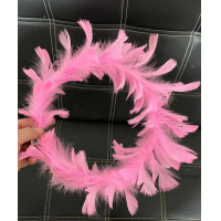 ราคา พร้อมส่ง มงกุฎขนนก มงกุฎขนนกมีไฟ มงกุฎคาดศีรษะ เครื่องประดับ เพื่อน เจ้าสาว งานปัจฉิม แฟนซี มงกุฎปัจฉิม มงกุฎแฟนซี (8504903238)