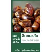 ราคา อินทผาลัม แม่จิตร นน 500g คาลาส สายพันธุ์ข้าวเหนียว หอม อร่อย เนื่อนิ่ม หวานฉ่ำ (9755992531)