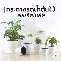 ราคา กระถางรดน้ำต้นไม้อัตโนมัติ กระถางเก็บน้ำ กระถางดูดน้ำอัตโนมัติ (3100846812)