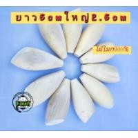 ราคา บอดี้กบกระโดดทรงกลม ไม้โมกมัน เอาไปเหลาเป็นกบโดดทรงกลม ทรงเทพ และสามเหลี่ยม หรือทำกบส่ายได้ (17126419191)