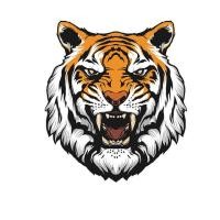 ราคา ตัวรีดติดลายเสื้อ TK 37 ลายเสือ หน้าเสือ ลายติดเสื้อ เท่ห์ๆๆ แผ๋นฟิล์มรีดร้อน (19939604431)