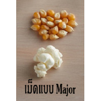 ราคา เมล็ดข้าวโพด เมล็ดป๊อปคอร์น มี 2 พันธุ์ ให้เลือก ป๊อปคอร์น เมล็ดข้าวโพด เมล็ดข้าวโพดดิบ พันธุ์mushroom พันธุ์butterfly (17554997261)