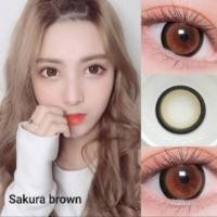 ราคา คอนแทคเลนส์ Sakura Brown สายตา 50 ถึง 1000 (19851104881)