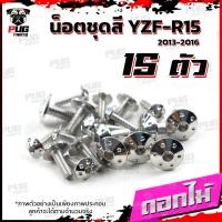 ราคา น็อตชุดสีR15 ปี2013 2016 1ชุด 15 ตัว น็อตชุดสีYZF R15 อาร์ 15 น็อตเฟรมR15 น๊อตR15 น็อตR15 น็อสแตนเลส R15 ปี2013 2016 (16214027389)
