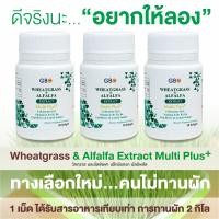 ราคา ขายราคาส่ง ผักเม็ด 1 กระปุก 30 เม็ด Wheatgrass Alfalfa Extract Multi Plus Q10 (14889451412)